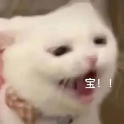 好好
