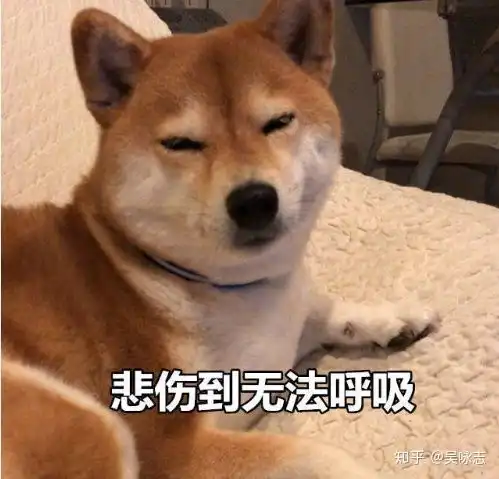 探探是真的吗