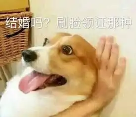 广东人,微信上也可以刷脸领结婚证了网友神回复扎心了...