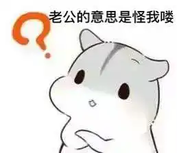 可爱仓鼠夫妇表情包