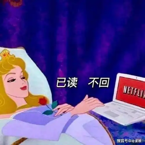 人间真实系列之x迪士尼公主搞笑沙雕表情包