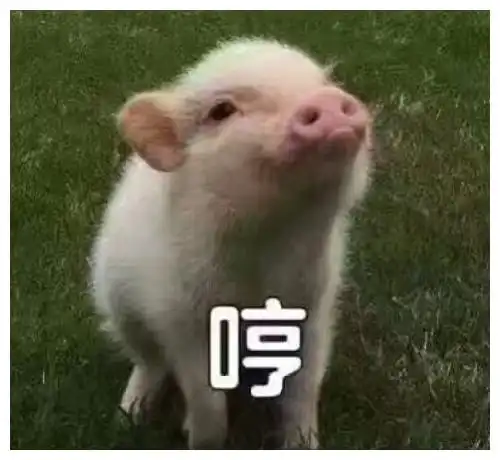 搞笑段子昨晚睡得很晚,就和网上一直追求的女孩聊天