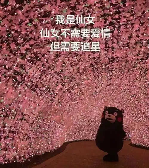 追星真是一件神奇的事,哈哈哈哈