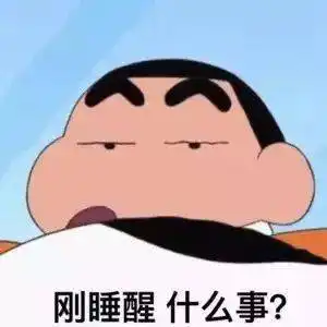 今日份热门表情包