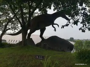 自贡恐龙博物馆好玩吗山东自贡恐龙博物馆图片大全十大品牌网