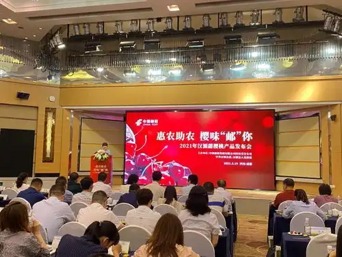 惠农助农把汉源甜樱桃带回家汉源甜樱桃产品发布会在蓉举行
