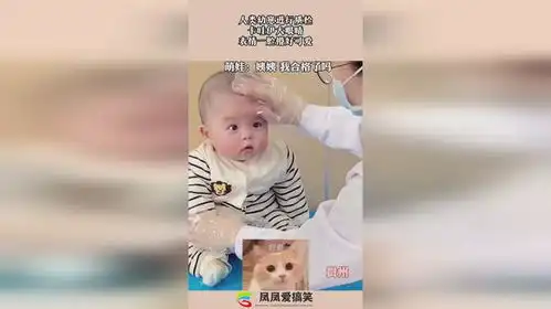 人类幼崽进行质检,卡哇伊大眼睛,表情一脸懵好可爱