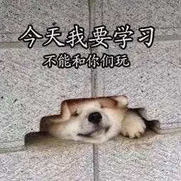 今天不学习明天变垃圾表情包学习使我快乐优秀是一种习惯学习表情包下载乐游网游戏下载