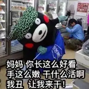 寒假学习娱乐指南快看过来呀