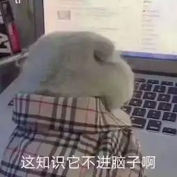 河南专升本冲刺没状态小耶支招让你快速脉动回来