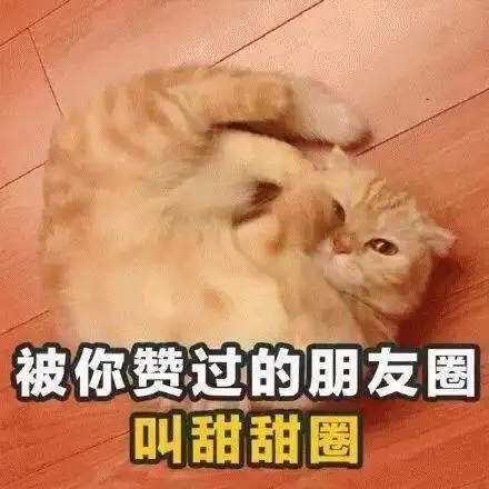 第77期喵表情渣猫长了一张强吻人的嘴,还乱撩女孩子