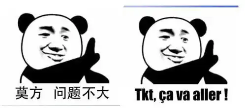 聊天尬住不如回复一个法语表情包