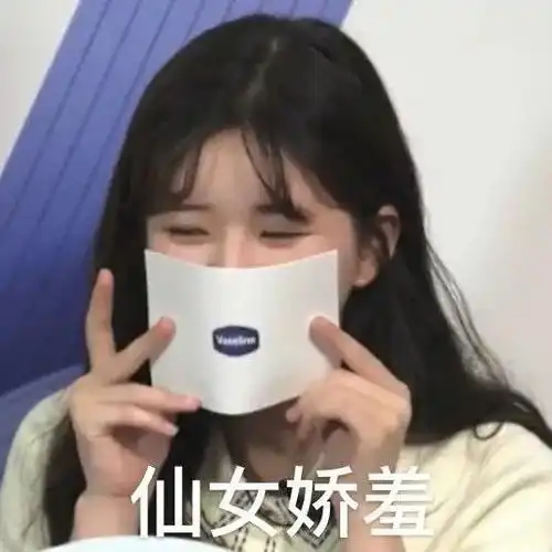 表情包赵露思沙雕系列