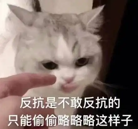 口吐芬芳小猫咪