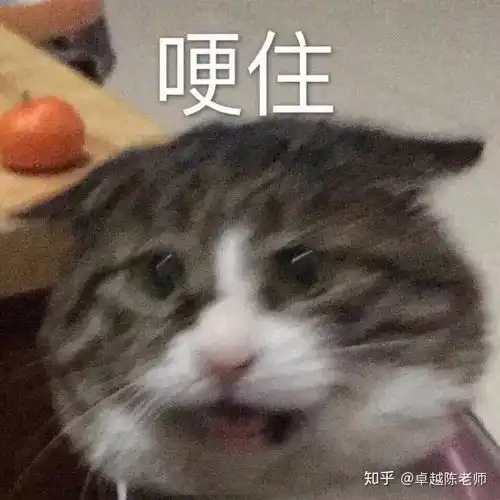 英语四六级未过对考研有影响吗