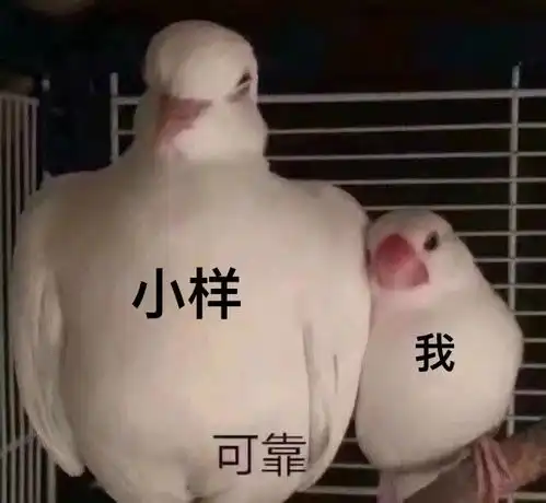 估值50亿的网红美妆店,卖我一堆假小样