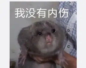 华农兄弟竹鼠表情包大全无水印分享竹鼠表情包高清下载