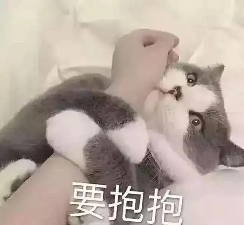 被猫抓伤咬伤了,我会得狂犬病的吧
