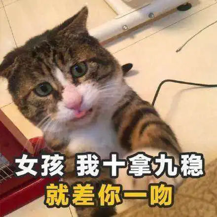 请把中国的土味情话,带到大洋彼岸