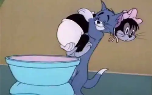 当猫和老鼠看到自己的表情包时十六