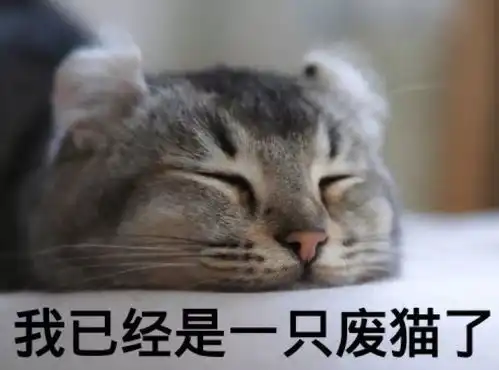 肥胖的身躯大同小异,有趣aichi的灵魂始终如一