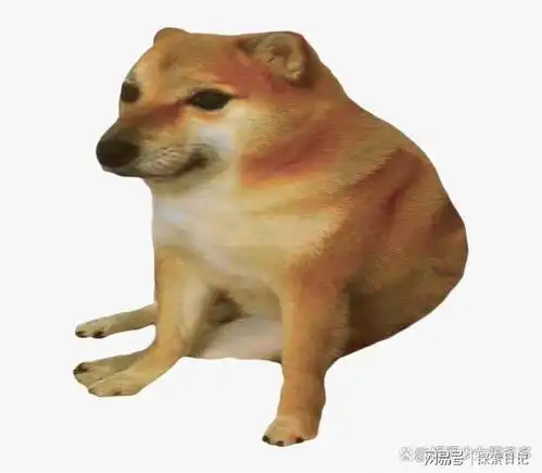 网红柴犬cheems去世,废柴表情包红极一时,网友哀悼