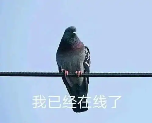教长辈用智能设备的那些事儿南粤青年说