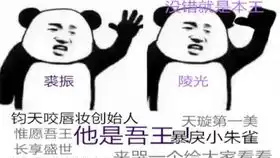 思美人兮