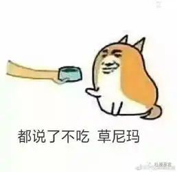 兔丫囧图还是老问题女朋友和游戏你选谁