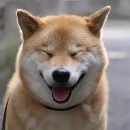 危城正义,要有人做才存在