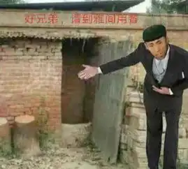 岛市老八是谁及资料快手岛市老八表情包来欣赏下