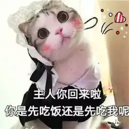 撒娇表情包小奶猫主人你是先吃饭还是先吃我小熊猫我可以