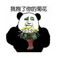 金馆长熊猫表情包微信头像图片大全