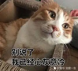 公猫害怕压疼媳妇,把脚抬在半空中,酸到一直发抖,模范丈夫