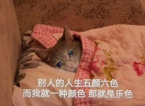 千万不要模仿偶像剧剧情,否则...哈哈哈哈哈哈哈是我不配