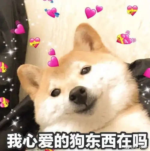 明博体育登录2023已更新今日北青网