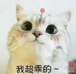 表情包我要把你摁在墙上亲,小奶猫看到没你老公亲的