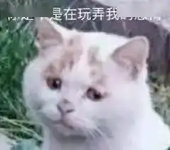 渣猫玩弄狗子的感情第100期喵表情
