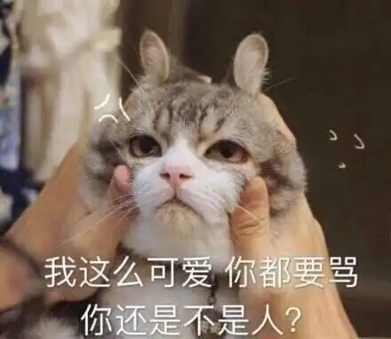猫咪表情包合集无聊到长草