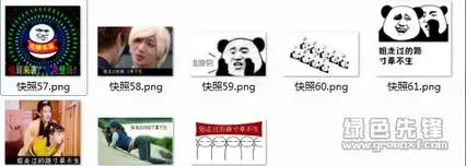 姐走过的路寸草不生表情包姐走过的路寸草不生搞笑图片v2017高清版软件下载