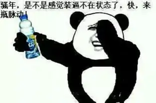 装逼累了来点东西