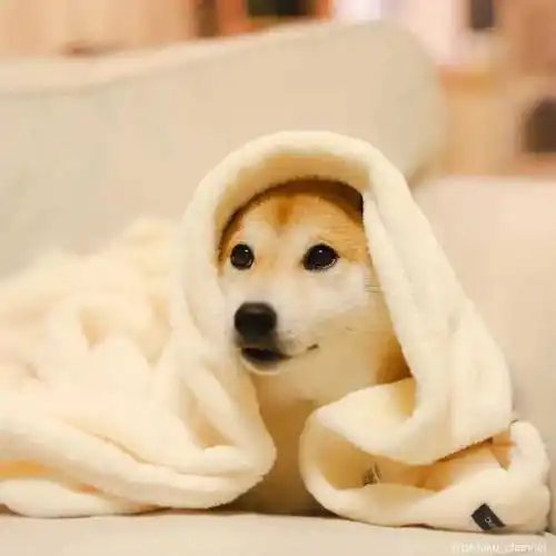 阵雨多云副热带网易订阅