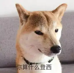 表情包一只叫做芋圆的魔性柴犬