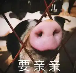 资深吃货推荐好店大王精心整理带你深度探索南宁美食