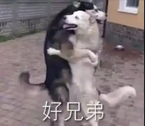 狼殿下幕后照曝光,卸妆后肖战最黑,王大陆不敢张嘴了