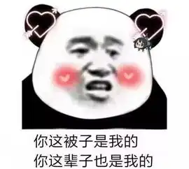 表情包明人不说暗话,我想做你女朋友