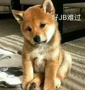 2020do爱指南,让你越do越爱