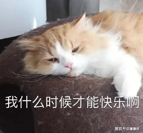 搞笑表情包我什么时候才能开心啊,顶我上去