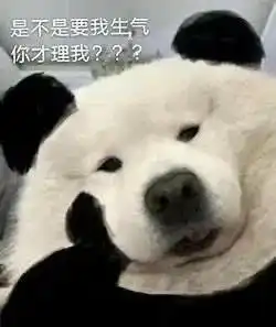 表情包可以和哥哥谈恋爱吗