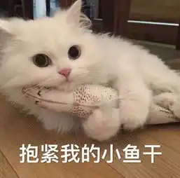 有哪些可爱的表情包